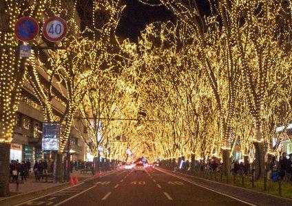 The Tunnel of Illumination on Jozenj-dori, Sendai, Japan.