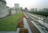 Is Your Building Green? - Rooftop Garden