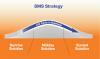 Japan Third Party— The Value of Being Bilingual and Bicultural - SMS Strategy