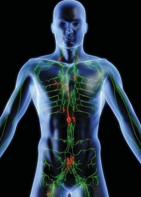 Natural Born Killers - Every day the human body produces approximately 5,000 cancer cells Natural Born Killers - Every day the human body produces approximately 5,000 cancer cells