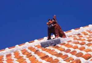 A shisa, warding off evil on a rooftop, Taketomi Island.