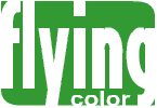 Flying Color Group Company Logo