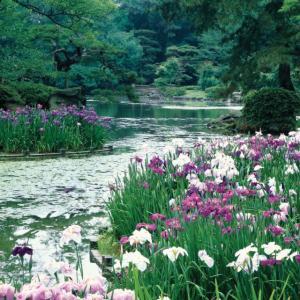 Kikugetsu tea house in Ritsurin Park