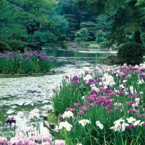 Kikugetsu tea house in Ritsurin Park