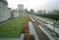 Rooftop Garden