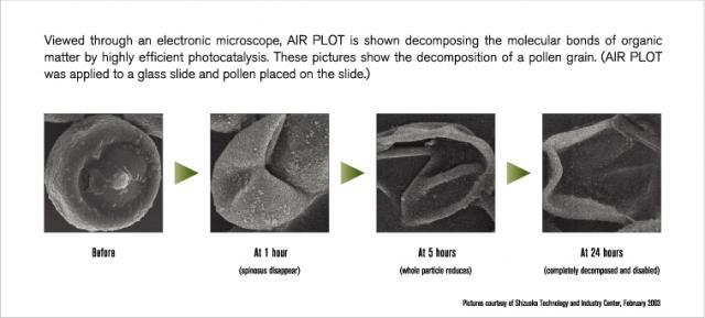 Decomposition of a Pollen Grain