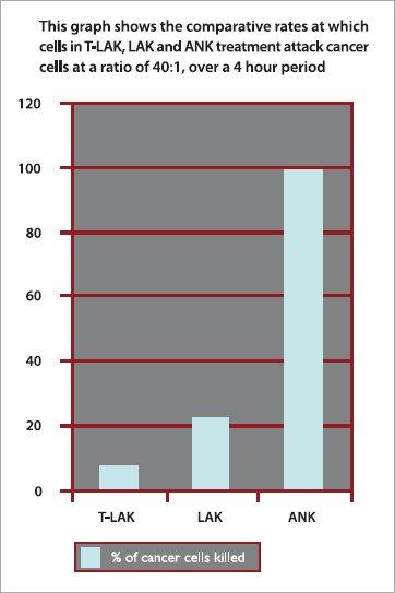 Figure A: ANK cells are much more successful at killing cancer cells