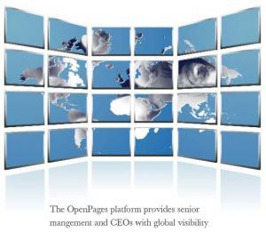 The OpenPages Platform