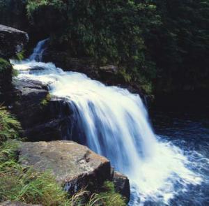 ‘God’s throne’: the waterfalls of Iriomote Island